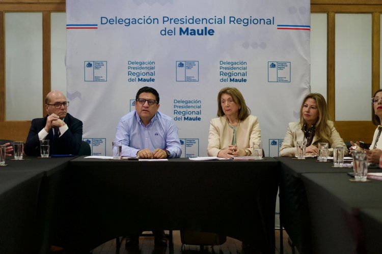 Delegado regional: resultados de elecciones presidenciales y parlamentarias en el Maule podrían estar muy temprano