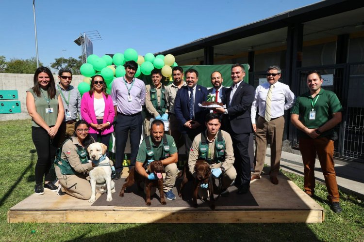 Brigada Canina del SAG celebra 20 años protegiendo la frontera y la sanidad agropecuaria del país