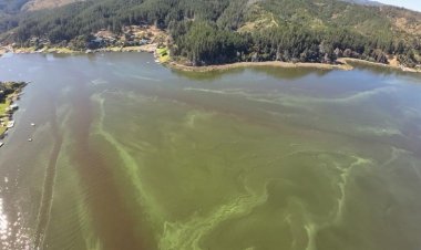 Senadora Rincón pide a Contraloría determinar responsabilidades por contaminación de Lago Vichuquén
