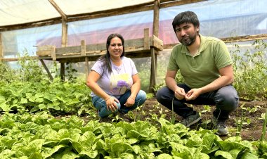 CNR destaca concurso exclusivo para mujeres e invita a agricultoras del Maule a postular a proyectos de riego con alto impacto productivo