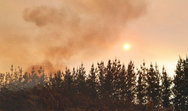 Corma llama a extremar la prevención de incendios ante altas temperaturas
