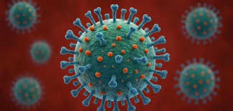 MINSAL confirmó la detección de subclado K de influenza A(H3N2) en Chile