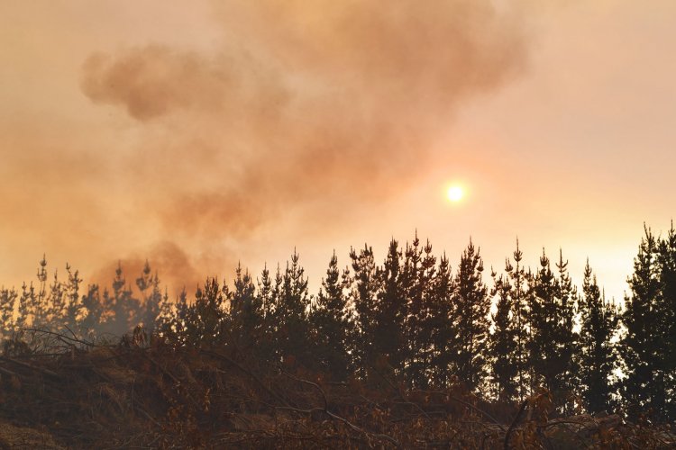 Corma llama a extremar la prevención de incendios ante altas temperaturas