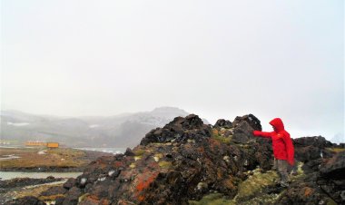 Investigadores buscan proteger a la Antártica de invasiones vegetales