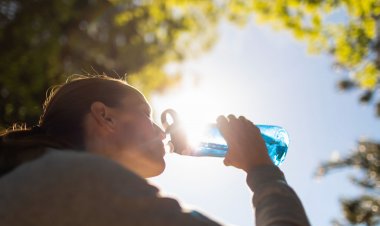 Calor extremo afectará la zona central de Chile durante el fin de semana