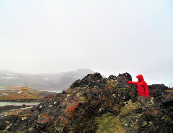 Investigadores buscan proteger a la Antártica de invasiones vegetales