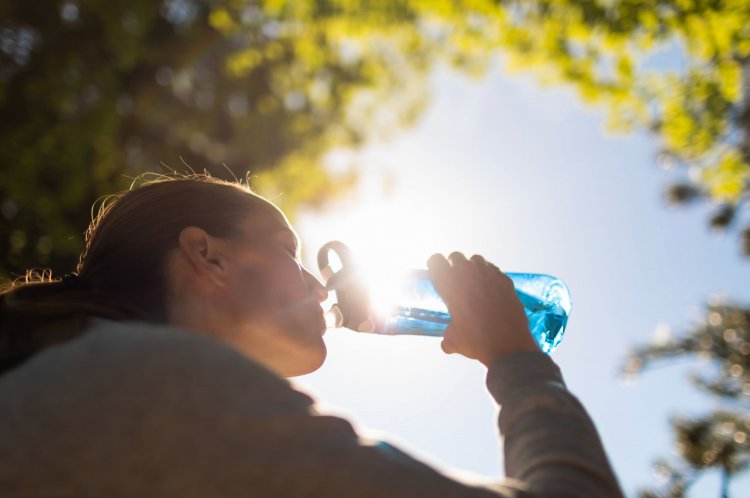 Calor extremo afectará la zona central de Chile durante el fin de semana