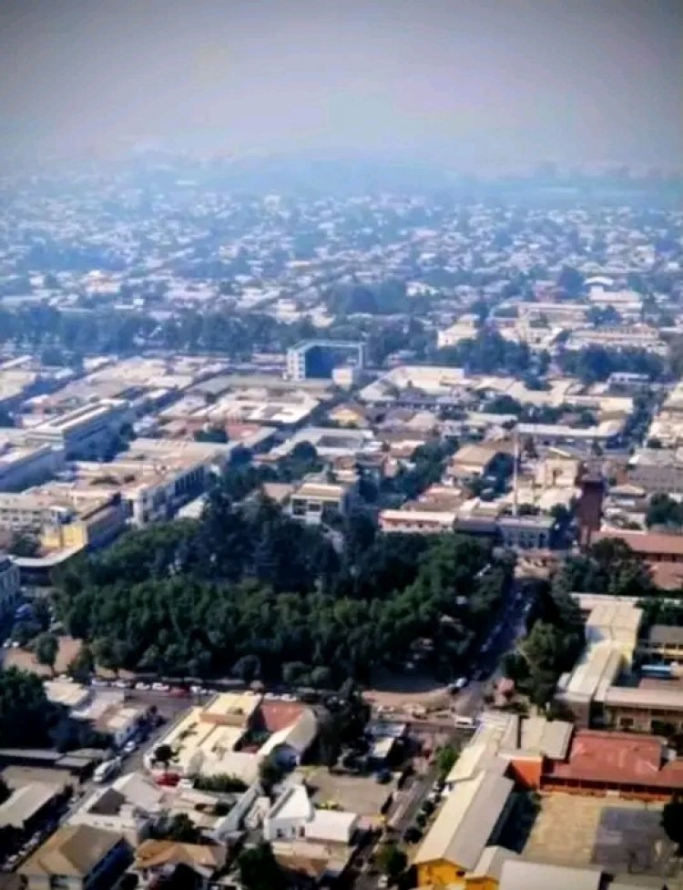 Humo de incendios forestales: riesgos para la salud y cómo protegerse