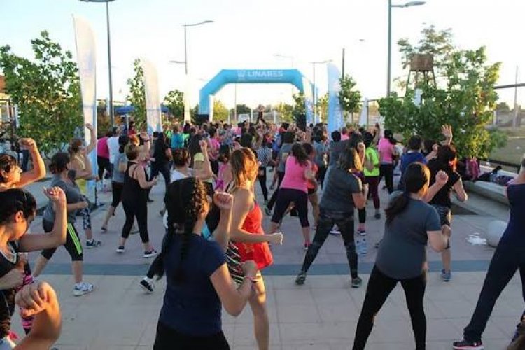 Mindep-IND del Maule dio el vamos a sus talleres sociales anuales