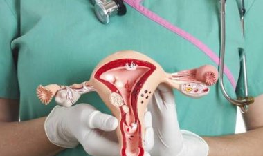 Cáncer cérvico uterino en Chile: Realidad y prevención
