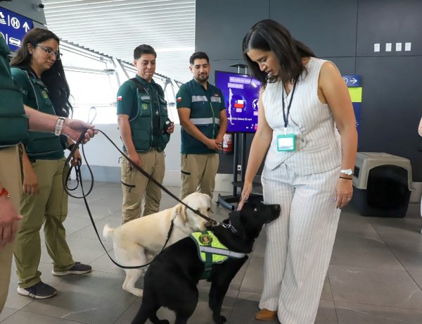 Aeropuerto de Santiago: SAG registra casi 10 mil mascotas arribadas y enfatiza importancia del certificado zoosanitario