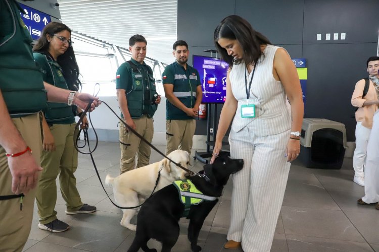 Aeropuerto de Santiago: SAG registra casi 10 mil mascotas arribadas y enfatiza importancia del certificado zoosanitario