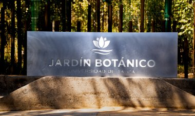 Identifican presencia del virus de Influenza Aviar H5N1 en algunas especies de aves del Jardín Botánico de la UTalca
