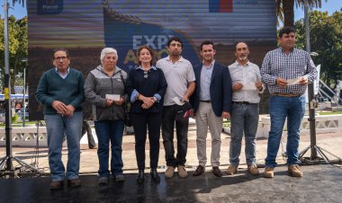 Arroceros del Maule reciben $600 millones de INDAP para hacer frente a temporada marcada por bajos precios