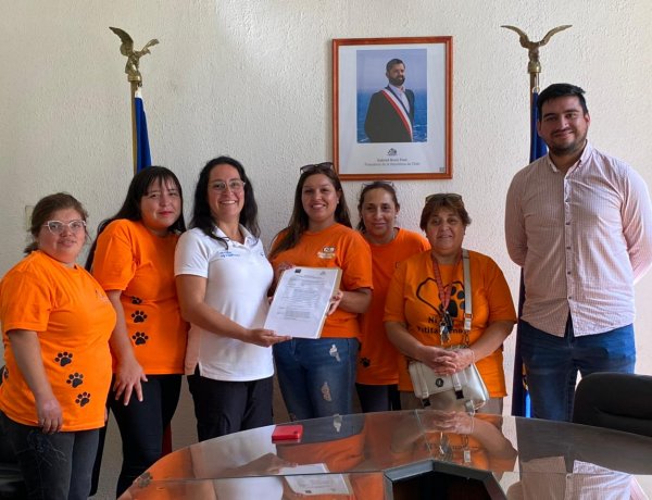 Delegación Presidencial Provincial de Linares gestionó convenio por $29 millones para operativos de esterilización y microchipeo de mascotas