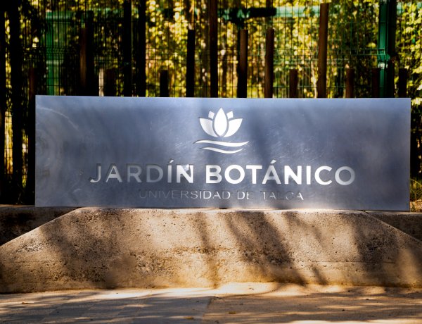 Identifican presencia del virus de Influenza Aviar H5N1 en algunas especies de aves del Jardín Botánico de la UTalca