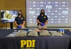 Más de 275 kilos de droga incautan en la Región del Maule tras operativo que dejó 13 detenidos