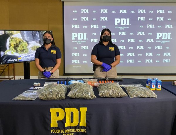 Más de 275 kilos de droga incautan en la Región del Maule tras operativo que dejó 13 detenidos