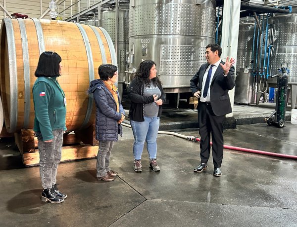 SEREMI de Agricultura lidera en fiscalización a bodega elaboradora de vino