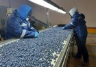 Desempleo en Chile traspasa la barrera del 9 por ciento y llega a su mayor nivel desde junio de 2021