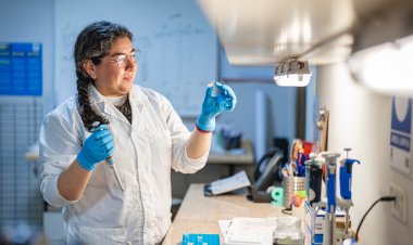 Investigan derivado del Omega 3 que podría atenuar daño hepático por diabetes