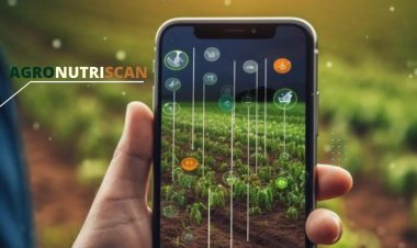 INIA desarrolla innovador “Reporte Digital” para optimizar la calidad y exportación de arándanos chilenos