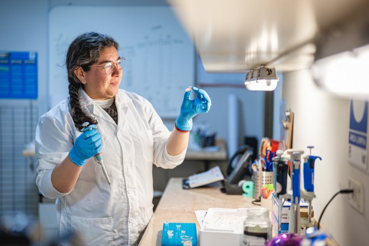 Investigan derivado del Omega 3 que podría atenuar daño hepático por diabetes