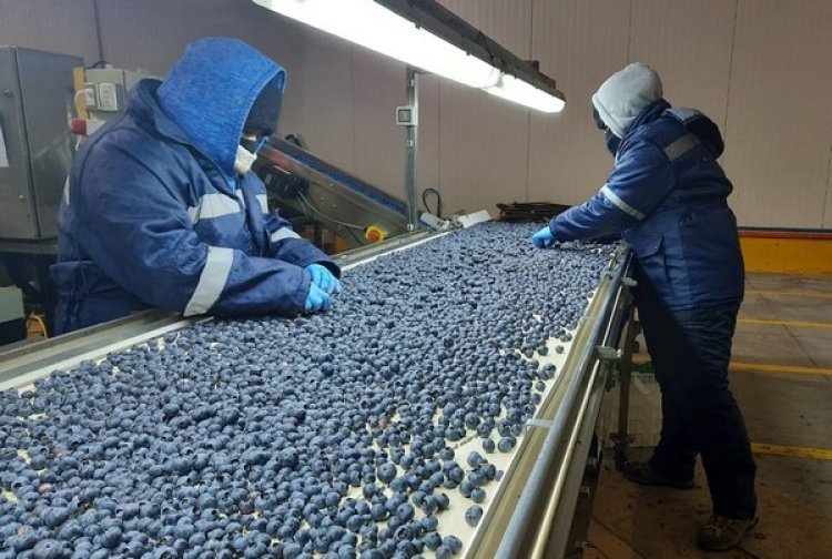 Desempleo en Chile traspasa la barrera del 9 por ciento y llega a su mayor nivel desde junio de 2021