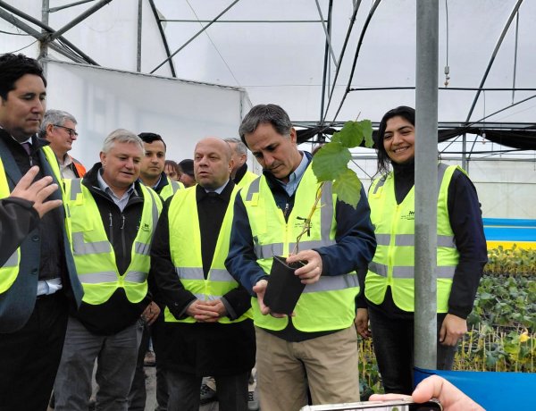 Innovación con sello regional: autoridades destacan a SynergiaBIO, empresa apoyada por FIA y referente en innovación agrícola