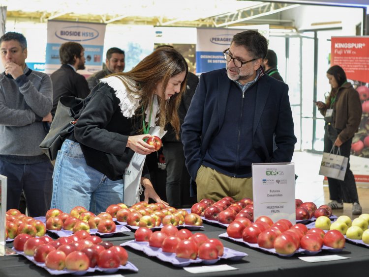 Industria de la manzana analiza estrategias ante llegada de fenómeno El Niño