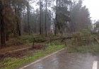 Ecoansiedad: cuando la preocupación por el cambio climático afecta la salud mental