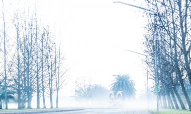 Masa de aire polar genera heladas en zona central de Chile