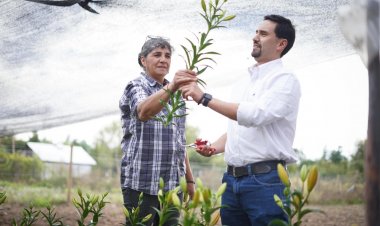 Abogado César Concha: El mejor programa social sigue siendo un empleo digno