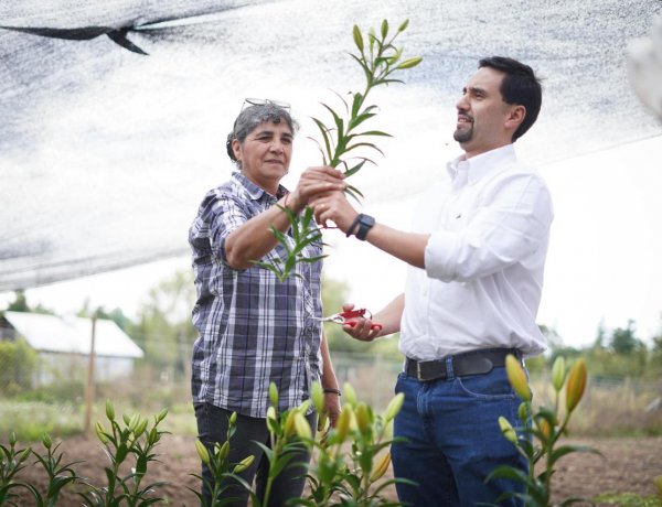 Abogado César Concha: El mejor programa social sigue siendo un empleo digno