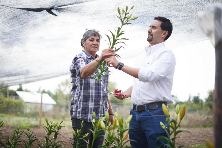 Abogado César Concha: El mejor programa social sigue siendo un empleo digno