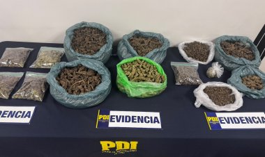 Allanamientos en Linares, Yerbas Buenas y Longaví terminan con el decomiso de más de 5.7 kilos de drogas