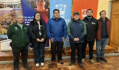 Linares: municipio abre postulaciones a 80 cupos de Programa Pro Empleo de CONAF