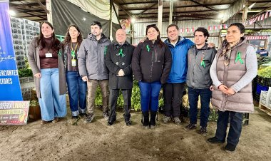 EcoMercado reconoció aporte solidario de productores y feriantes de Linares
