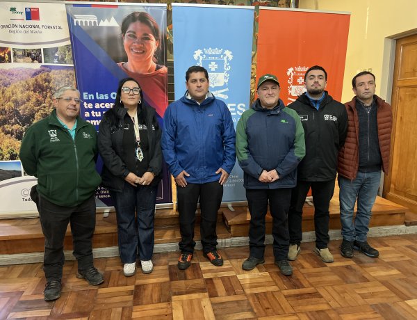 Linares: municipio abre postulaciones a 80 cupos de Programa Pro Empleo de CONAF