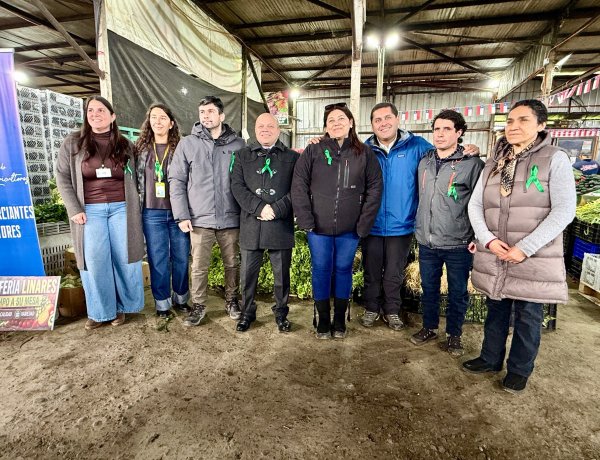 EcoMercado reconoció aporte solidario de productores y feriantes de Linares