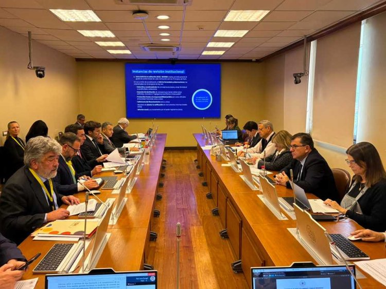 Director del INDH expone observaciones al proyecto que busca reformar al Instituto ante Comisión de Derechos Humanos de la Cámara