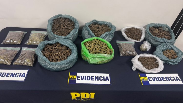 Allanamientos en Linares, Yerbas Buenas y Longaví terminan con el decomiso de más de 5.7 kilos de drogas