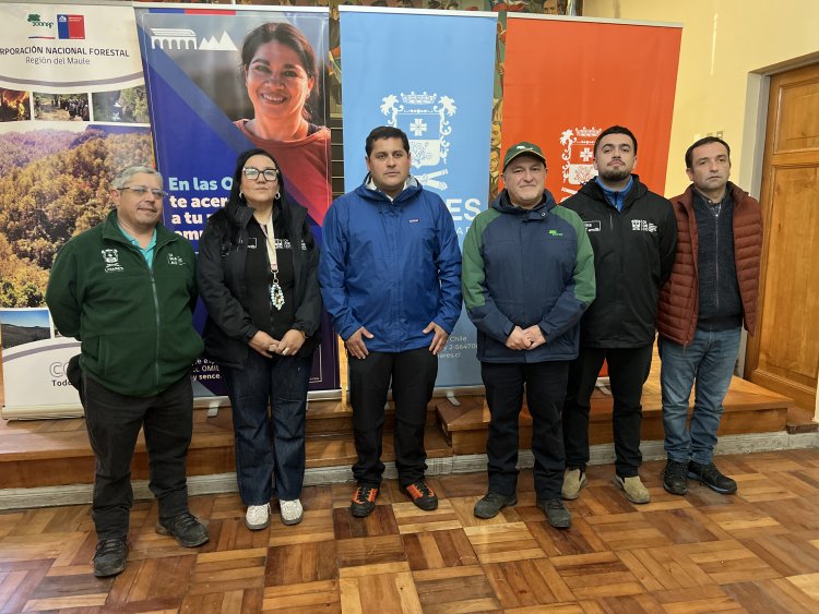 Linares: municipio abre postulaciones a 80 cupos de Programa Pro Empleo de CONAF