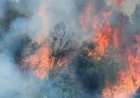 Linares se prepara para la próxima temporada de incendios forestales con foco en la prevención