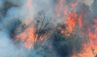 Linares se prepara para la próxima temporada de incendios forestales con foco en la prevención