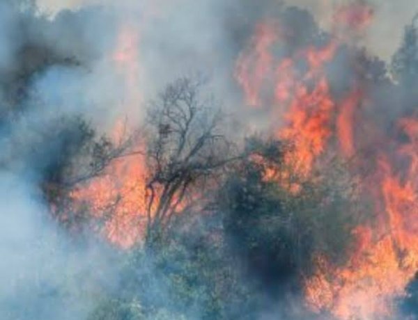 Linares se prepara para la próxima temporada de incendios forestales con foco en la prevención