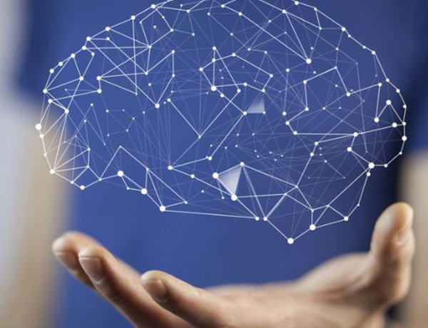 Inteligencia artificial en la ciencia: ¿Puede ayudar a entender cómo funciona la mente humana?