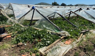 INDAP despliega operativo en terreno en la Región del Maule para evaluar daños por temporal y coordinar medidas de apoyo a agricultores