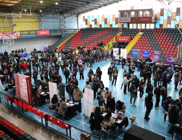 Autoridades llaman a empresas maulinas a postular al nuevo Subsidio Unificado al Empleo