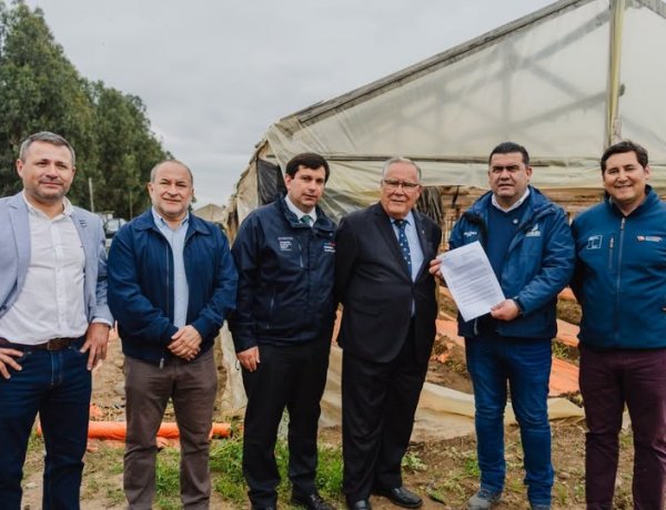 Gobierno decreta emergencia agrícola en 14 comunas de la Región del Maule